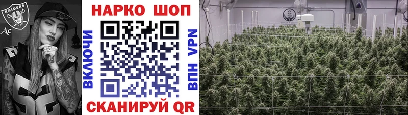 Купить наркотики сайты Заводоуковск АМФ  ссылка на мегу ссылки  Мефедрон  МАРИХУАНА  ГАШ  Alpha-PVP  КОКАИН  Галлюциногенные грибы 