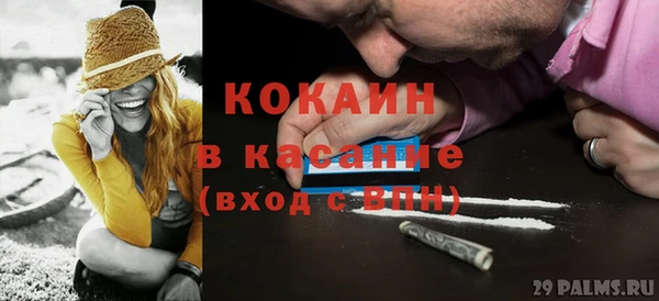 молекула духа Михайлов