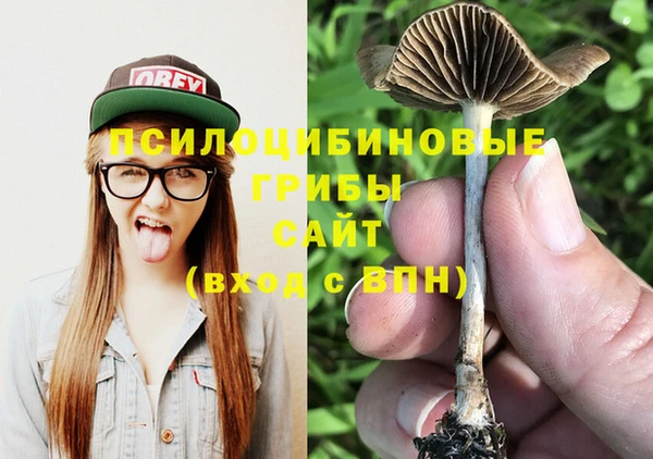 молекула духа Михайлов