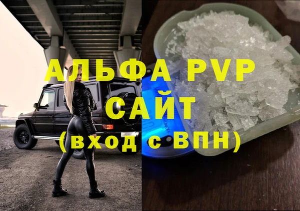 молекула духа Михайлов