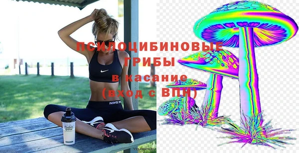 СК Михайловка