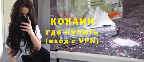 твердый Мегион