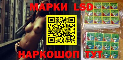 гидропоника Гусев