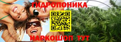 PSILOCYBIN Волжск