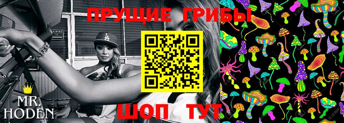 Галлюциногенные грибы Psilocybe  Вход с VPN  Псилоцибиновые грибы MAGIC MUSHROOMS  Заводоуковск 