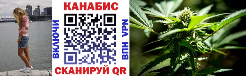 Бошки марихуана THC 21%  Заводоуковск 